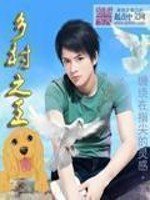 《鄉村之王》