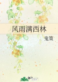 《風雨滿西林》