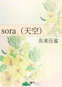 《sora(天空)》