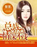 總裁，情深不淺